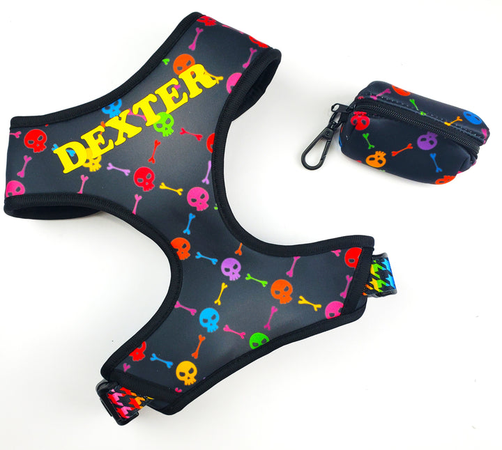 Rainbow Punk Skulls Harness