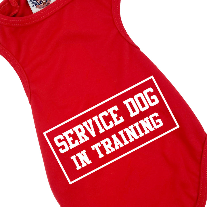 Dog Shirt | Service Dog In Training