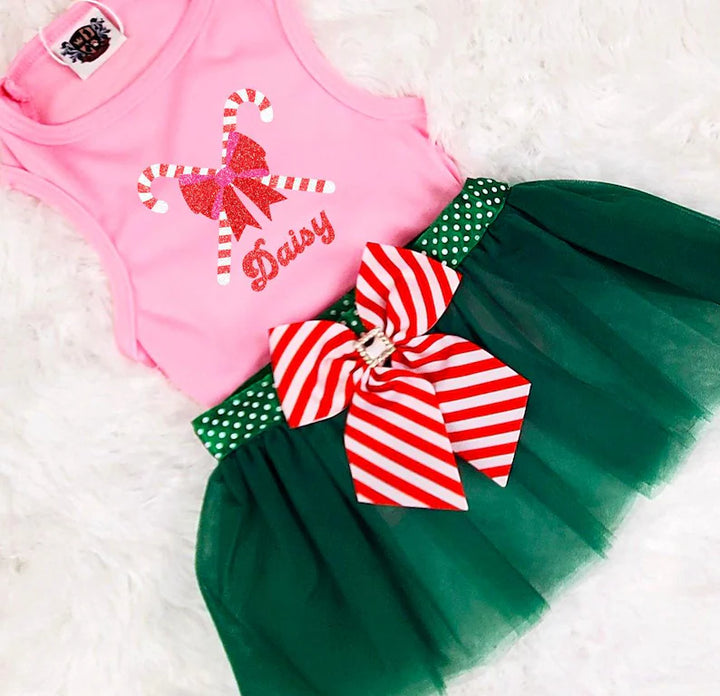 Personalized Christmas Candy Cane Costume