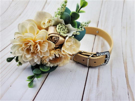 Succulent Wedding Collar | The Fairy Garden